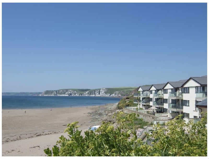 Click here for more about 29 Burgh Island Causeway