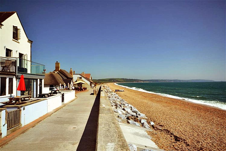 Reeds is located in Torcross
